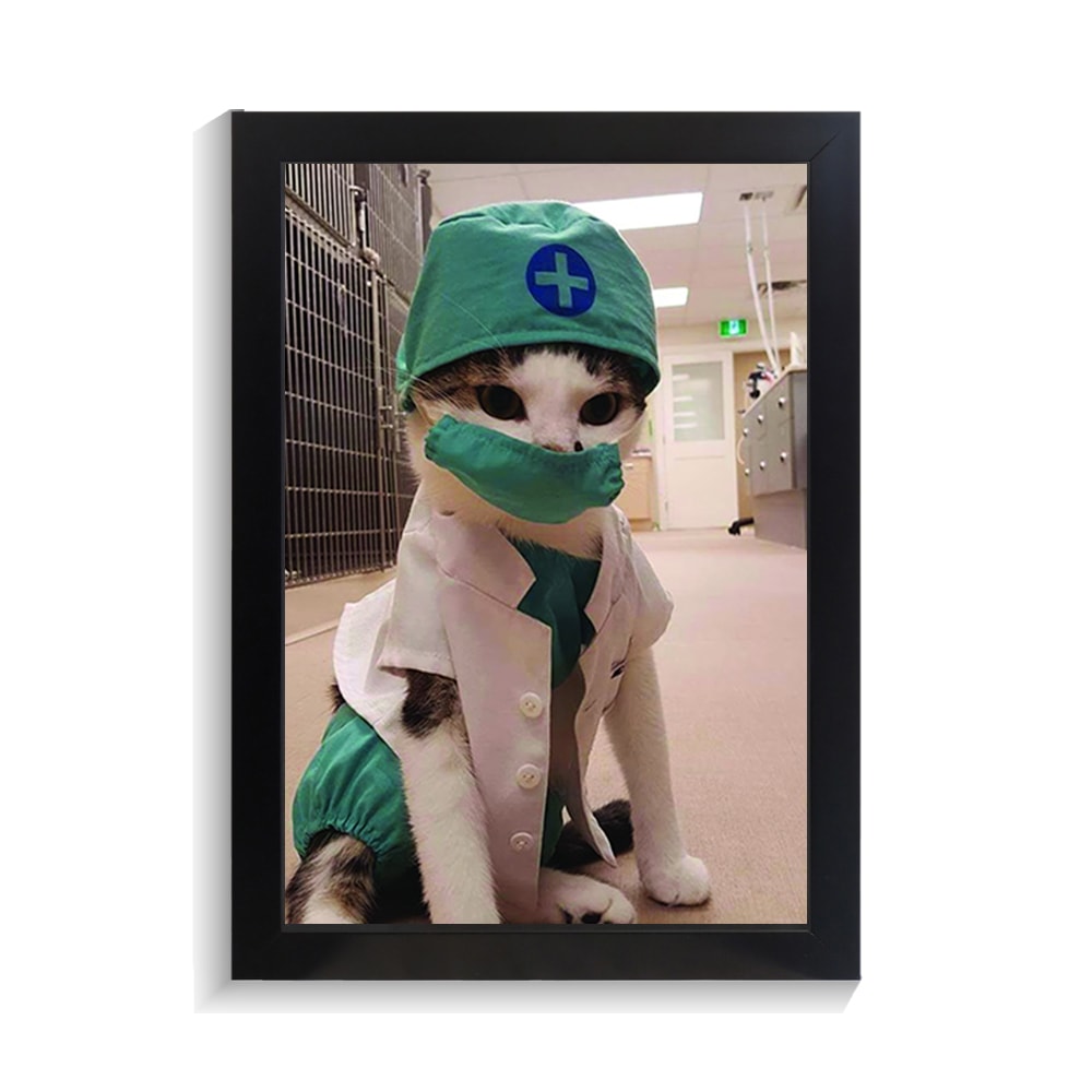 تابلو فانتزی طرج دکتر گربه کد PF-21074 تابلو فانتزی طرج دکتر گربه کد PF 21074