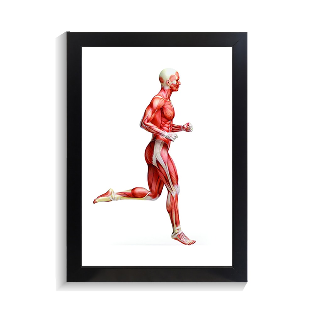تابلو فیزیوتراپی طرح بدن کد PF-29024 تابلو فیزیوتراپی طرح بدن کد PF 29024 2
