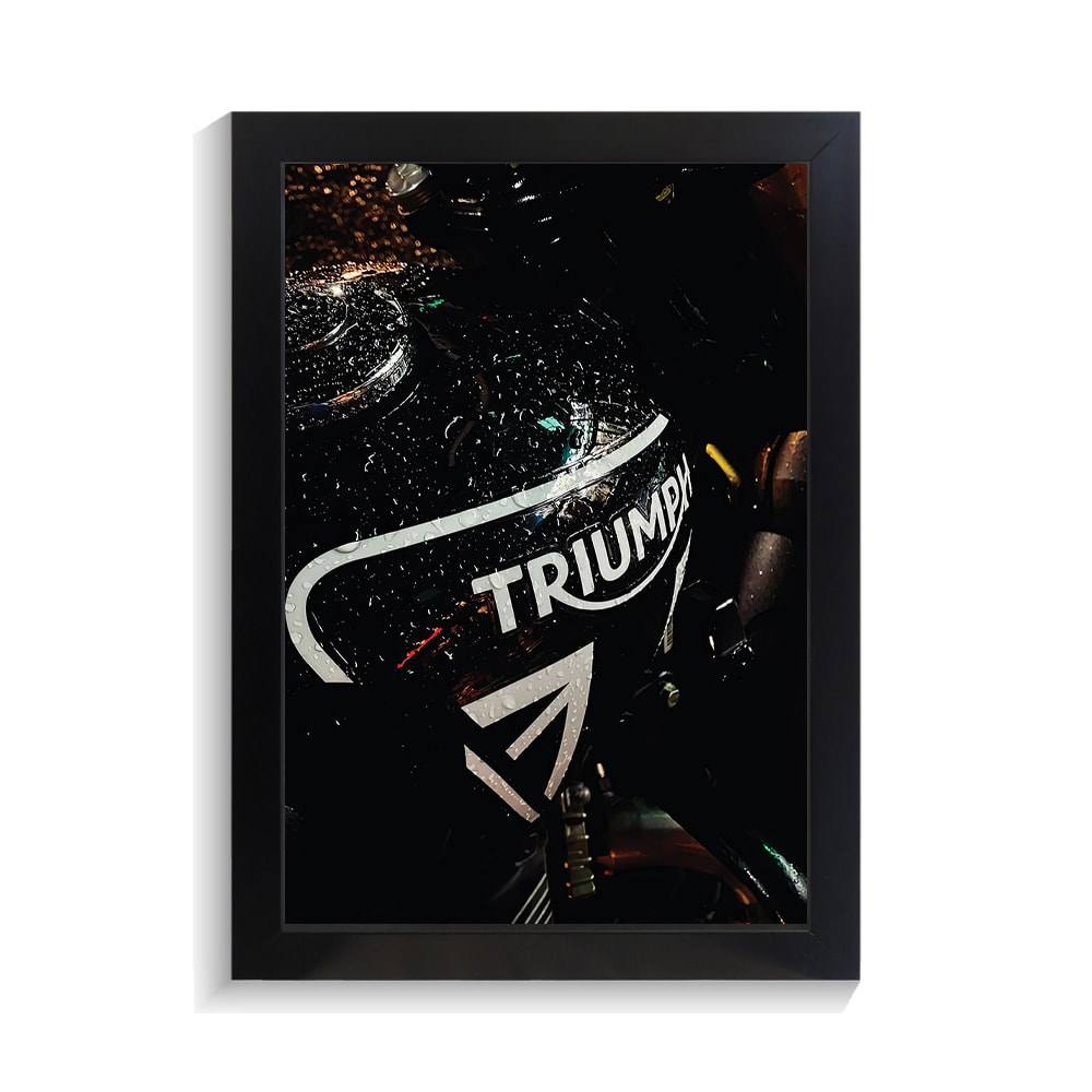 تابلو موتور طرح تریومف کد PF-31198 تابلو موتور طرح تریومف کد PF 31198